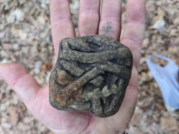 Необычный камень из леса
