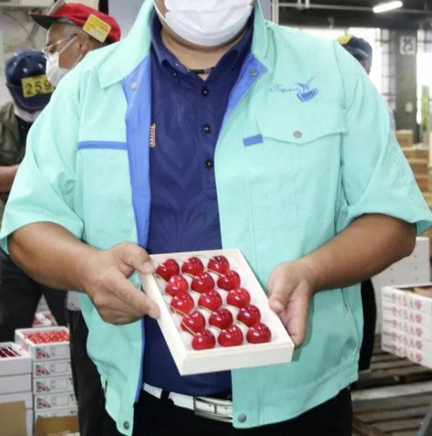 В Японии продали черешню нового сорта Aomori Heartbeat - 15 ягод обошлись в 4,4 тысячи долларов