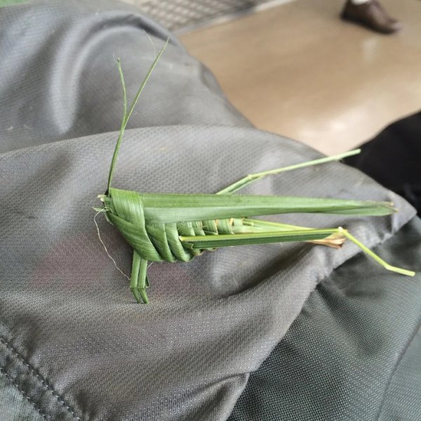 «Этого кузнечика из травы в технике оригами мой друг нашел в поезде в Токио»