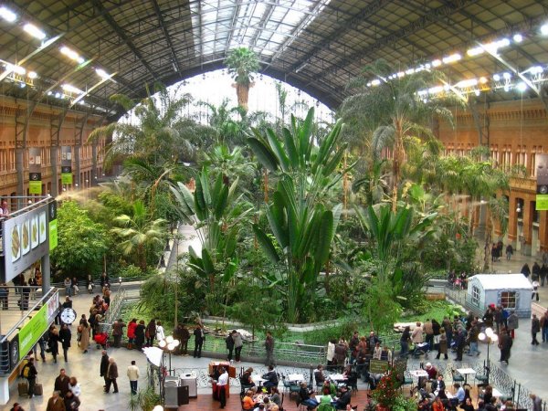 Станция «Аточа» в Мадриде превращена в настоящий ботанический сад, Испания