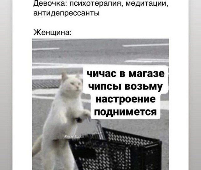 Лучшие шутки и мемы из Сети - 06.07.2022