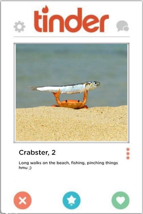 Лучшие мемы про маленького крабика с рыбкой в клешнях