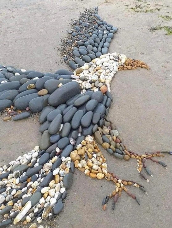 Кто-то сделал этого удивительного орла из пляжных камней