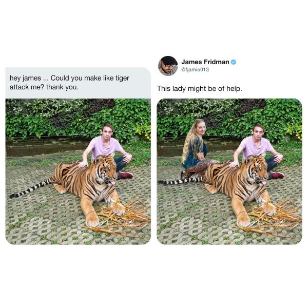 Привет, Джеймс! Можешь сделать так, чтобы тигр как бы нападал на меня?
