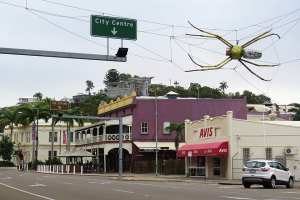Гигантский паук висит на улице возле музея в Австралии