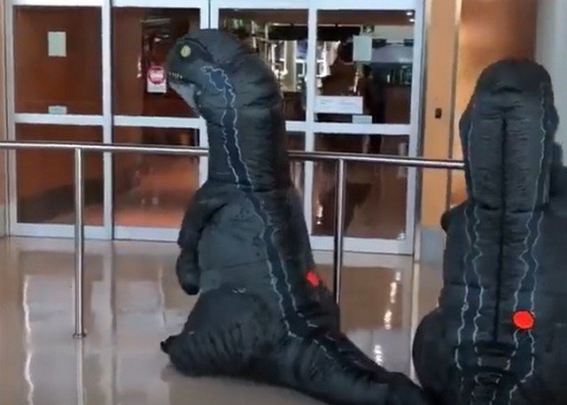 Семья нарядилась в костюмы динозавров, чтобы встретиться в аэропорту