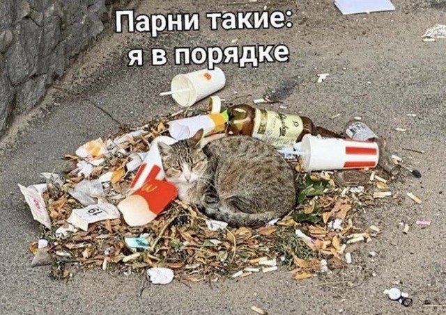 Лучшие шутки и мемы из Сети - 28.07.2022