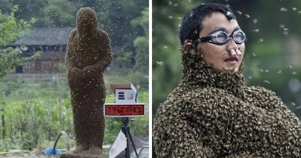 Пчелиный конкурс в Китае