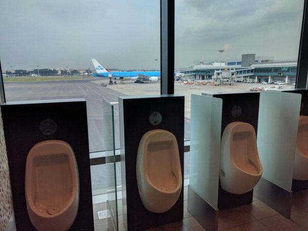 Туалетные кабинки с панорамным видом в аэропорту Чанги