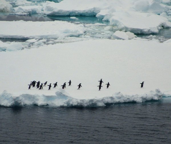 Антарктида — самая большая пустыня в мире, здесь не так много осадков