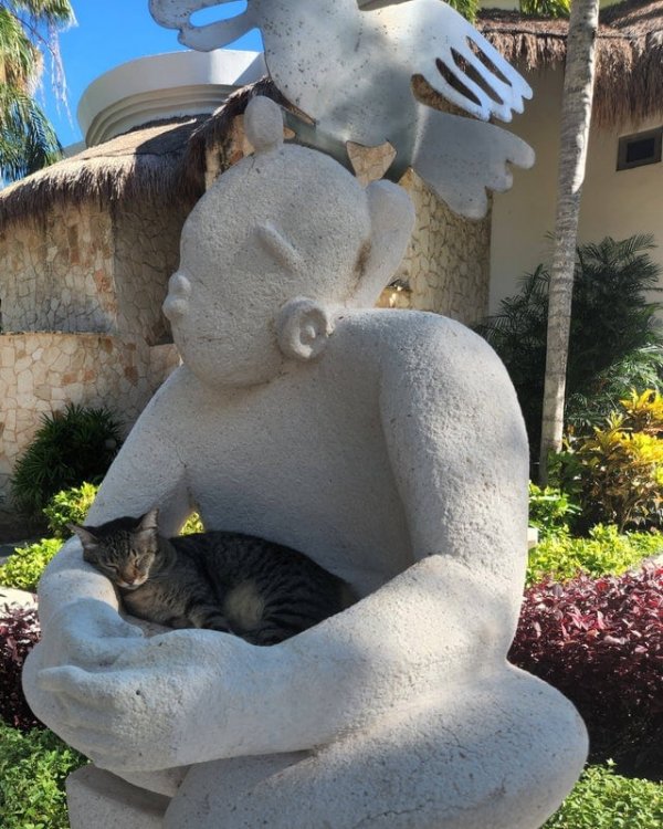 Ещё один котик, который впал в сонное царство на руках статуи