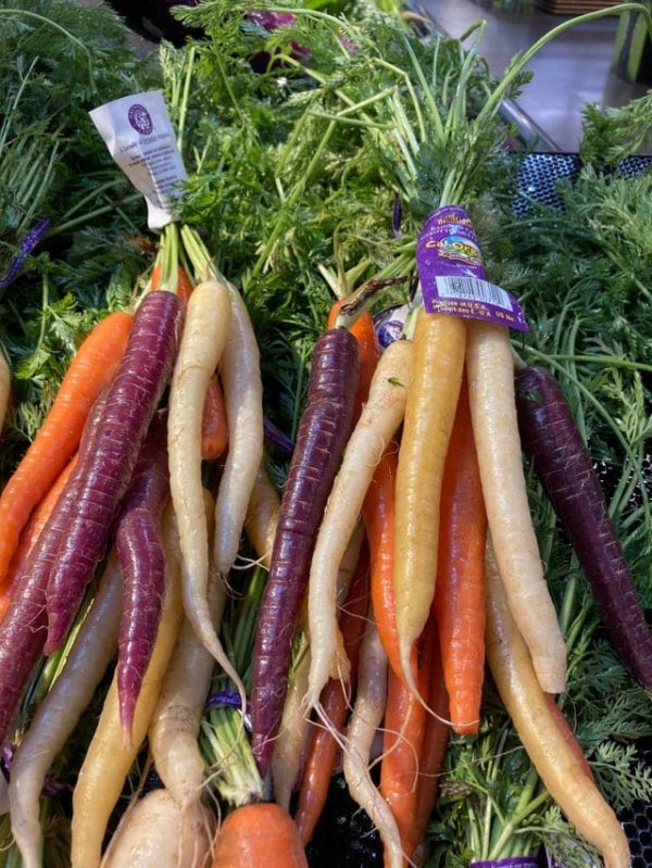 Пучок разноцветной моркови