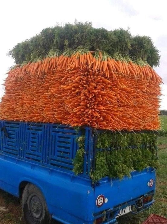 Идеально загруженная морковь