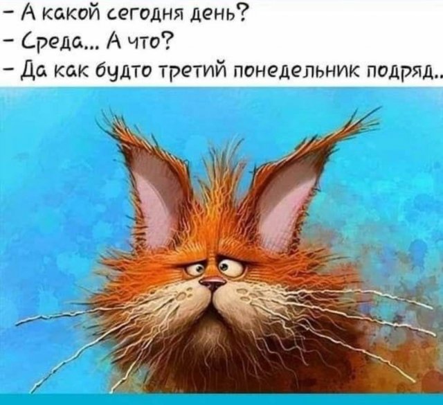 Лучшие шутки и мемы из Сети - 17.08.2022