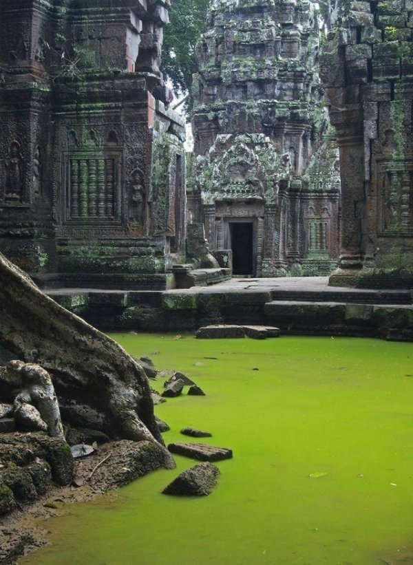 Заброшенный индуистский храм в Камбодже