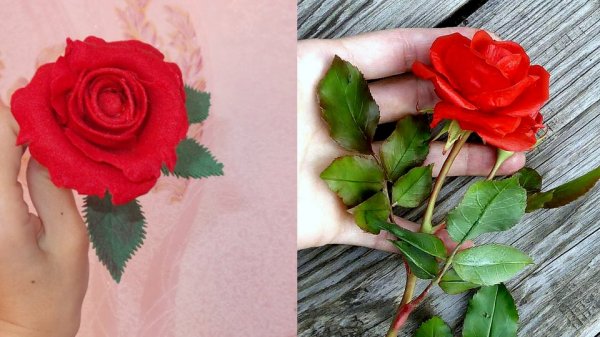 Роза из холодного фарфора, 2013 vs 2019
