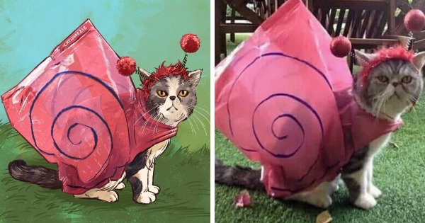 Мемное искусство: художница Эмили Пакуин забавно перерисовывает котов, которые стали мемами