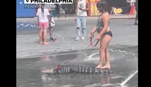 Ничего необычного, девочка в Филадельфии выгуливает своего питомца
