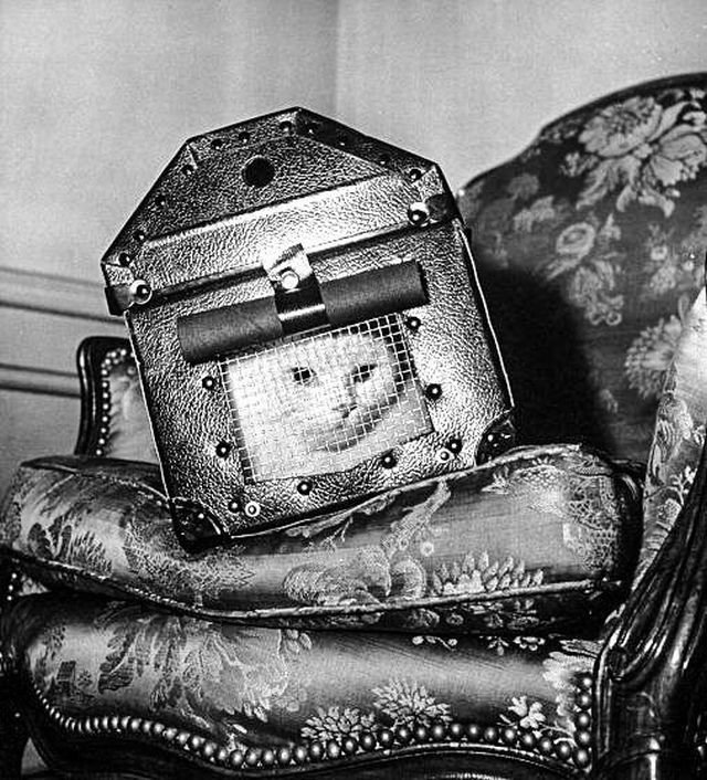 Контейнер из сверхпрочной стали для безопасной транспортировки кошек во время бомбёжек, Великобритании 1941 год