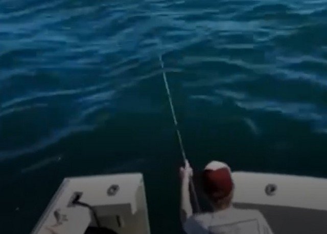 Акула запрыгнула на лодку во время рыбалки