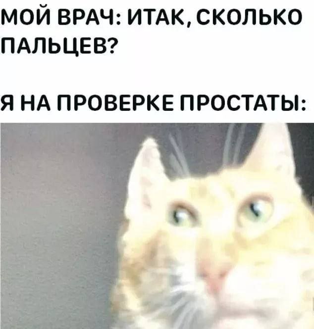 Лучшие шутки и мемы из Сети - 05.09.2022