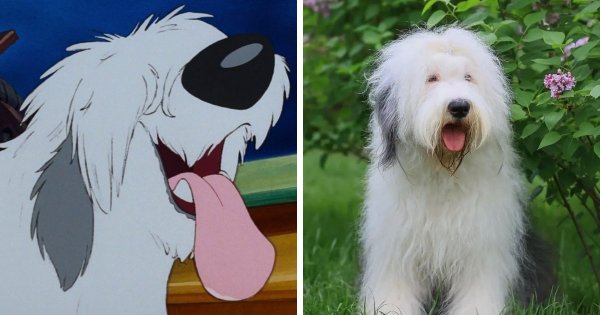 Пёс Макс из мультфильма «Русалочка» — бобтейл