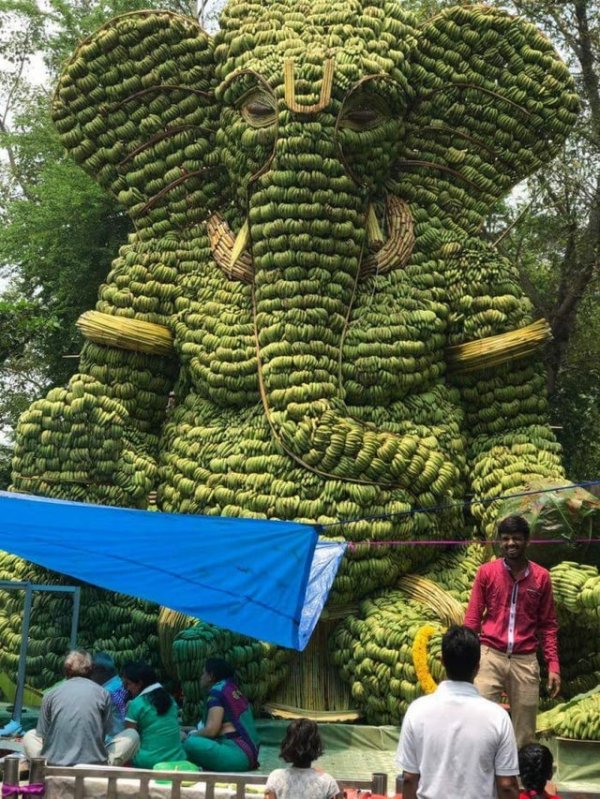 Статуя индуистского бога (Ганеши) высотой около 8 метров сложена вручную из бананов