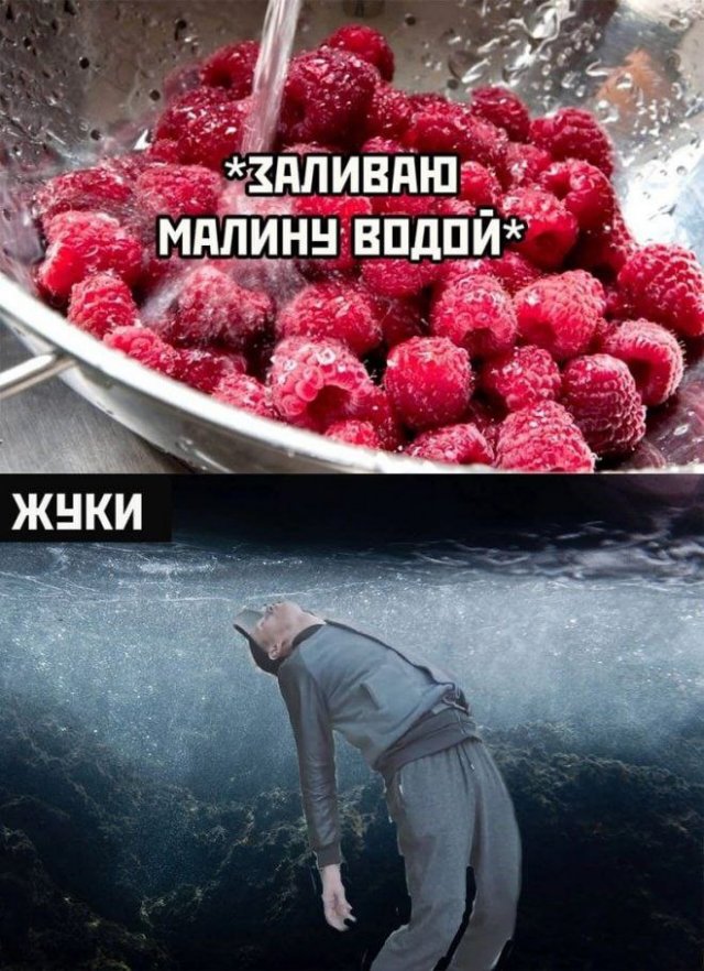 Лучшие шутки и мемы из Сети - 20.09.2022