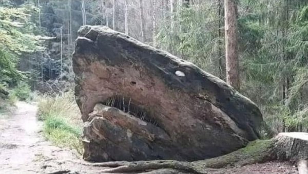 Этот камень выглядит как мегалодон