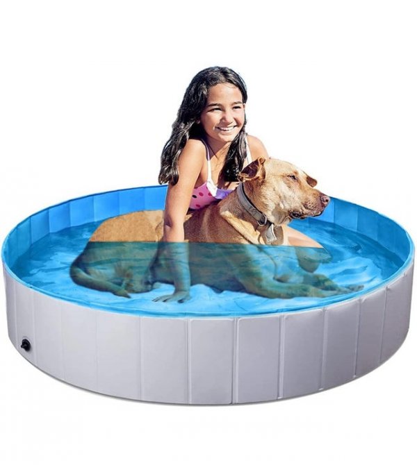 Девочка и её собака реалистично плавают в бассейне