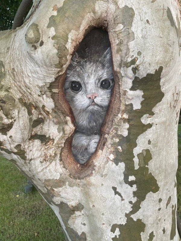 Кто-то нарисовал кошку на дереве