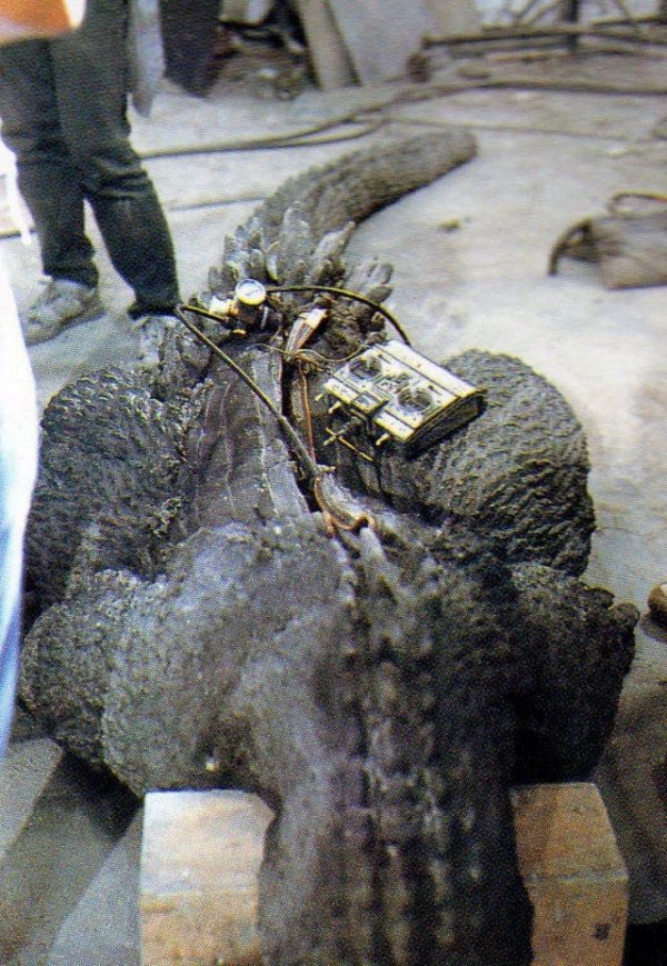 Подготовка костюма Годзиллы из фильма «Годзилла против Кинга Гидоры», 1991