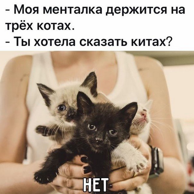 Лучшие шутки и мемы из Сети - 06.10.2022