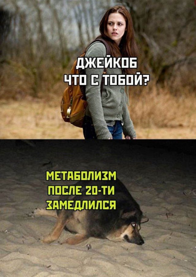 Лучшие шутки и мемы из Сети - 07.10.2022