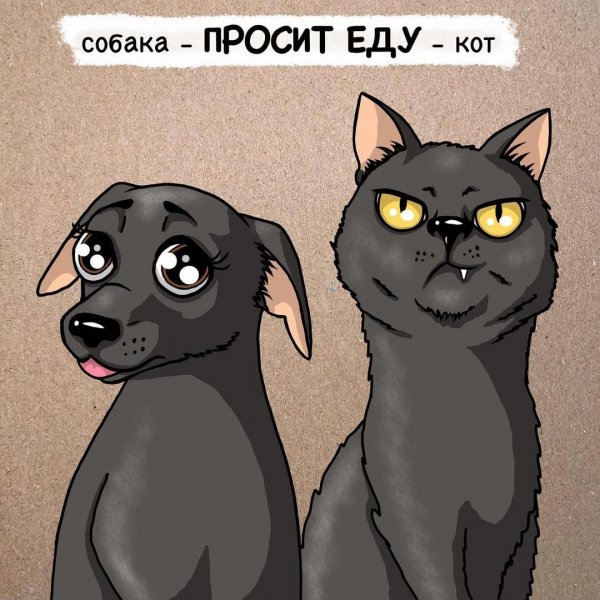 Забавный комикс от художницы, которая живет с двумя котами и собакой