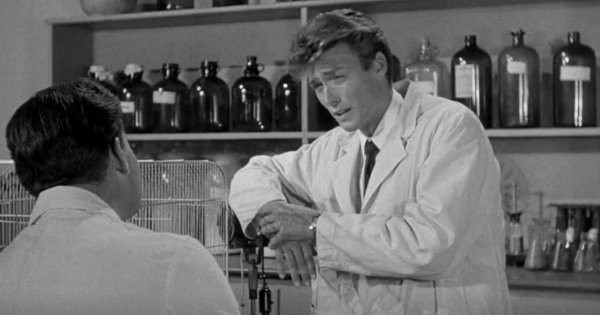 Клинт Иствуд снялся в ужастике «Месть твари» (1955)