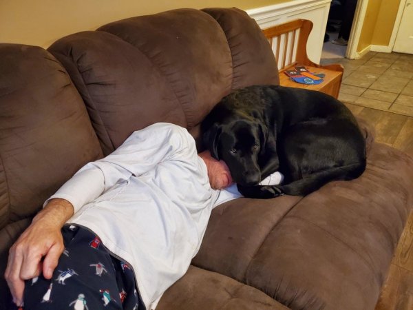 Папа и собака, которую он не хотел