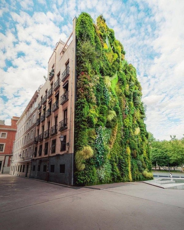 Интеграция с природой, Мадрид