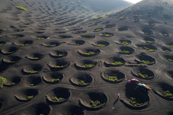 Виноградники, расположенные в луноподобных кратерах вулкана в Лансароте, Канарские острова