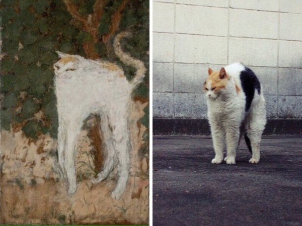 Бонус: «Белый кот», Пьер Боннар