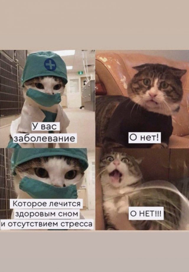 Лучшие шутки и мемы из Сети - 07.12.2022