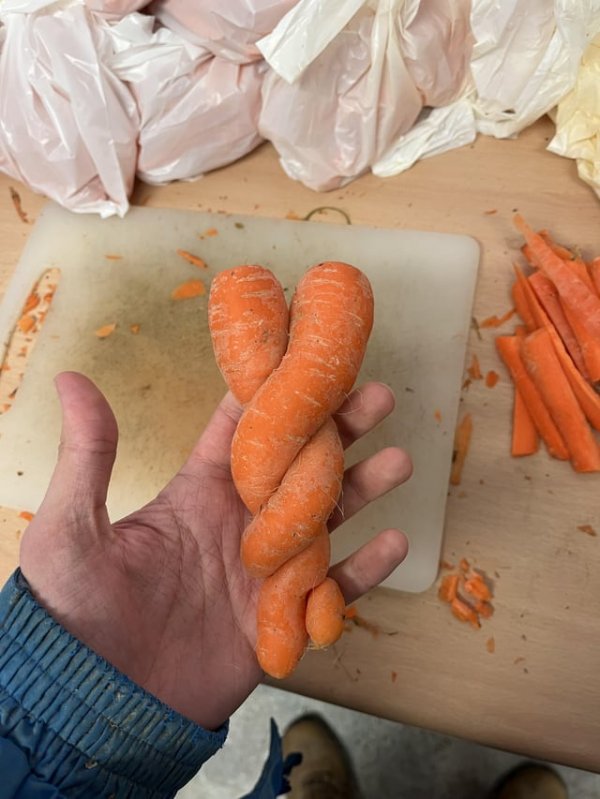 Морковки выросли в обнимку