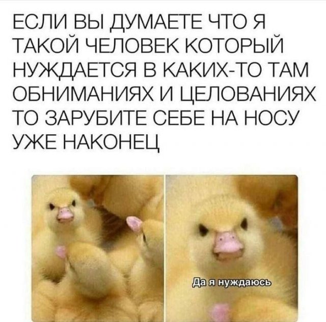 Лучшие шутки и мемы из Сети - 09.01.2023