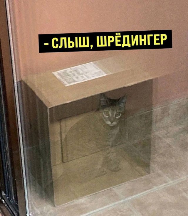 Лучшие шутки и мемы из Сети - 09.01.2023