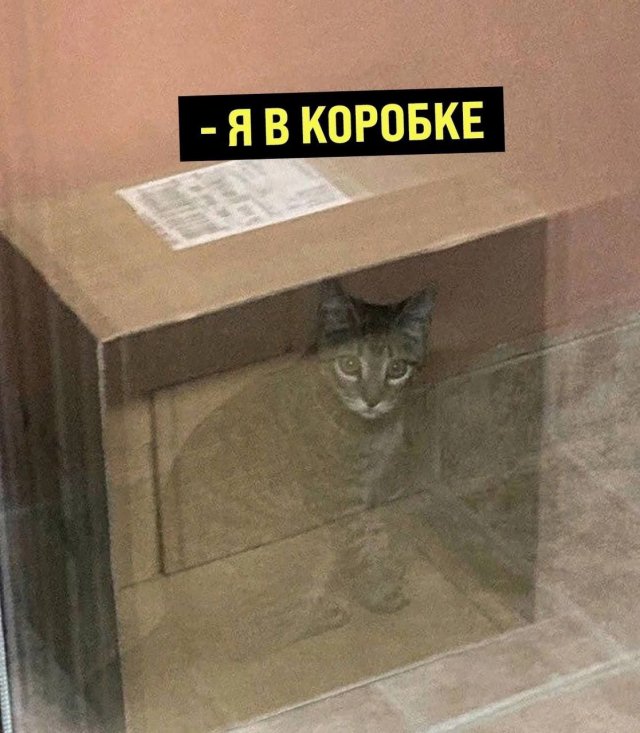 Лучшие шутки и мемы из Сети - 09.01.2023