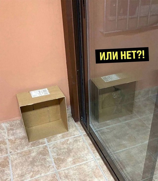 Лучшие шутки и мемы из Сети - 09.01.2023