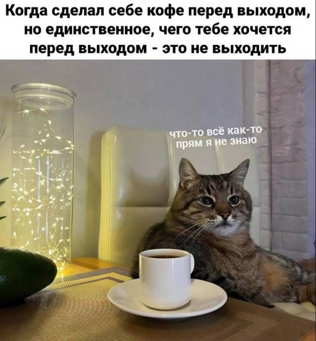 Лучшие шутки и мемы из Сети - 09.01.2023