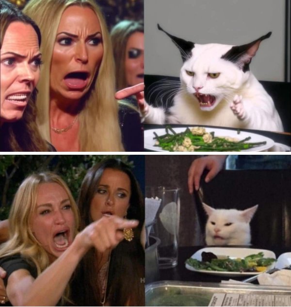 Мем: Две женщины орут на озадаченного кота