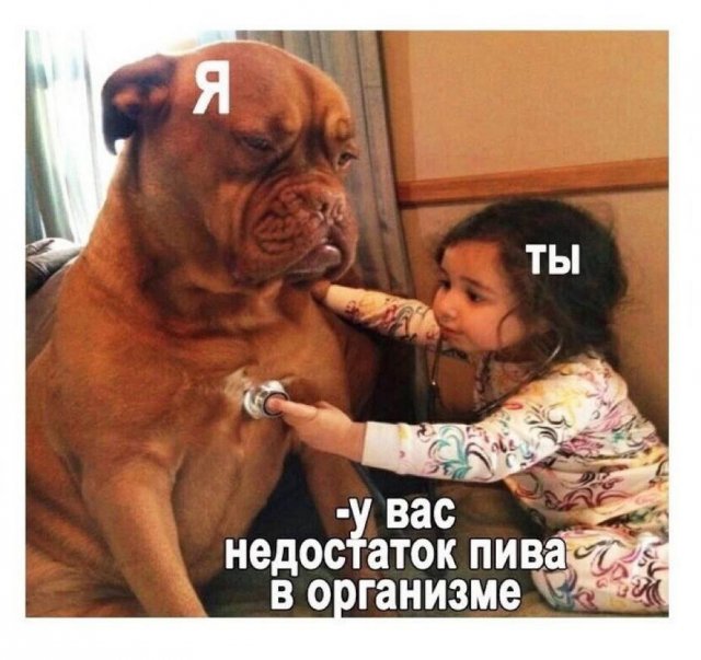 Лучшие шутки и мемы из Сети - 17.01.2023