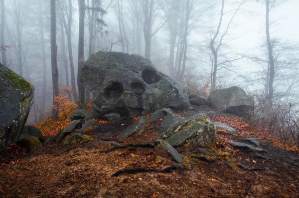 Скала в виде черепа, стоящая посреди леса